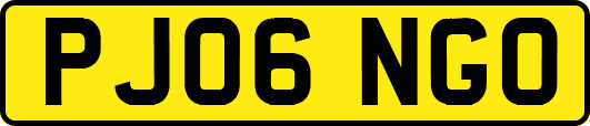 PJ06NGO