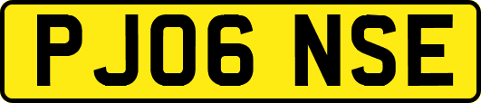 PJ06NSE