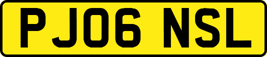 PJ06NSL
