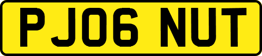 PJ06NUT