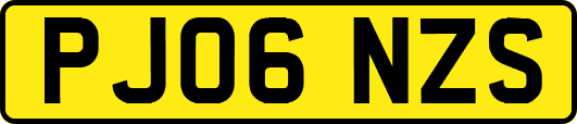 PJ06NZS