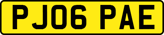 PJ06PAE