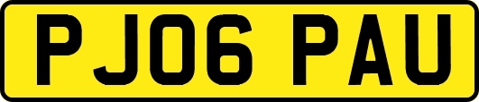 PJ06PAU