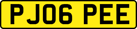 PJ06PEE