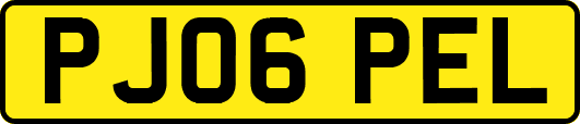 PJ06PEL