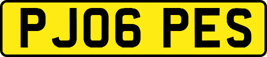 PJ06PES