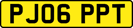 PJ06PPT