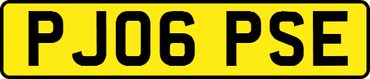 PJ06PSE