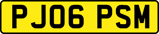 PJ06PSM