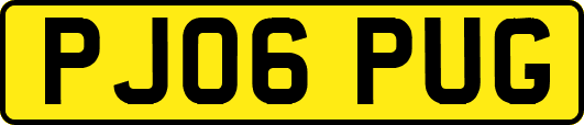 PJ06PUG