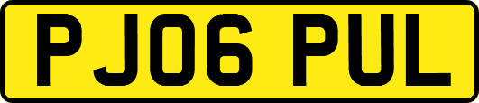 PJ06PUL