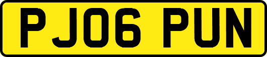 PJ06PUN