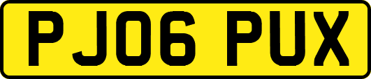PJ06PUX