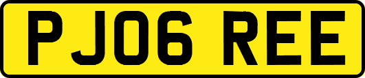 PJ06REE