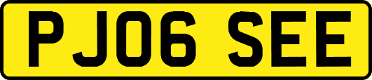 PJ06SEE