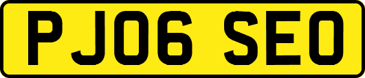 PJ06SEO