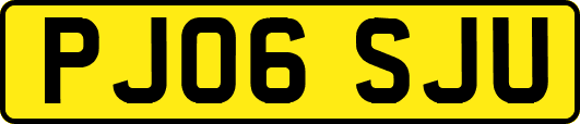PJ06SJU
