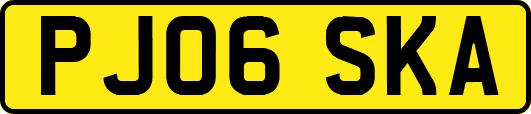 PJ06SKA