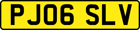 PJ06SLV