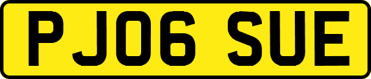 PJ06SUE