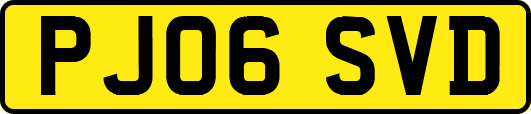 PJ06SVD