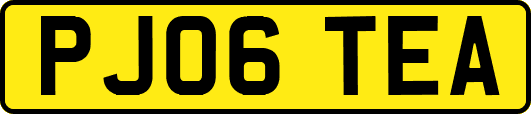 PJ06TEA