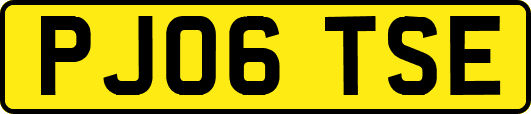 PJ06TSE