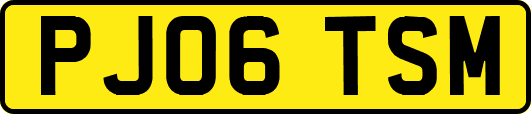 PJ06TSM