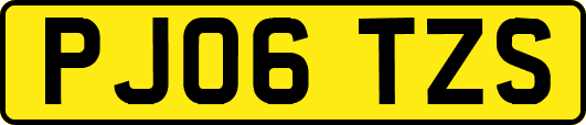 PJ06TZS