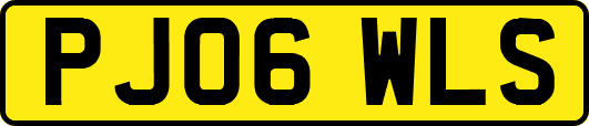 PJ06WLS