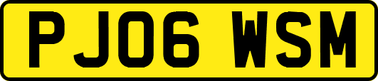 PJ06WSM