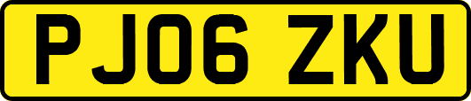PJ06ZKU