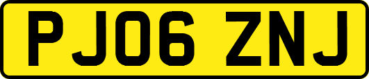PJ06ZNJ