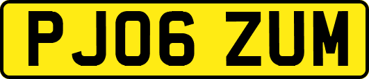 PJ06ZUM