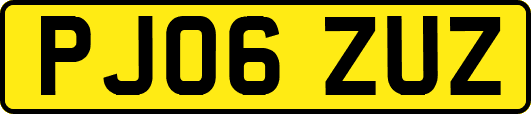 PJ06ZUZ