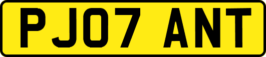 PJ07ANT