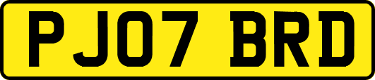 PJ07BRD