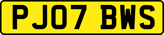 PJ07BWS