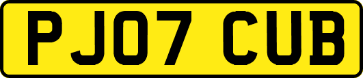 PJ07CUB