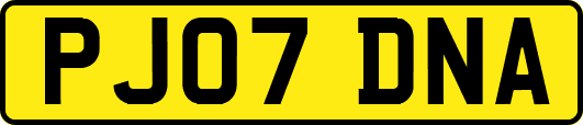 PJ07DNA