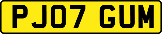 PJ07GUM
