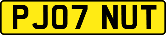 PJ07NUT
