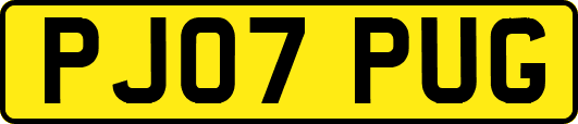 PJ07PUG