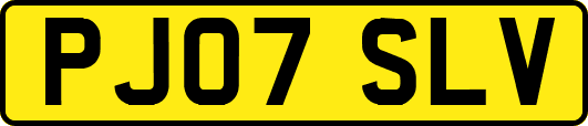 PJ07SLV