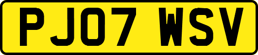 PJ07WSV