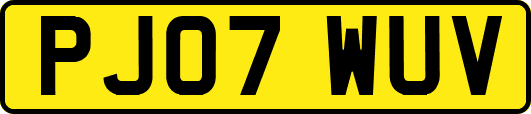 PJ07WUV