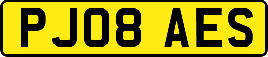 PJ08AES
