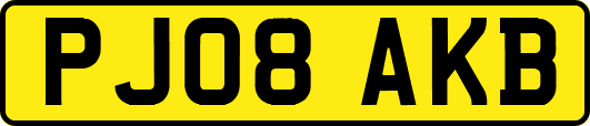 PJ08AKB