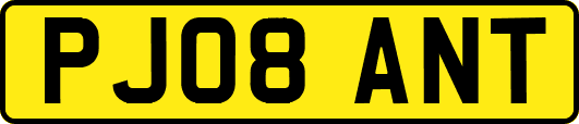 PJ08ANT