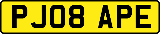 PJ08APE